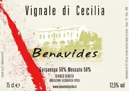 Veneto Benavides