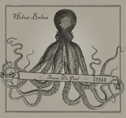 Black Sheep Finds Holus Bolus Franc de Pied Syrah