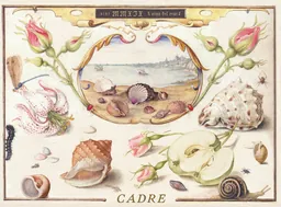 Cadre Sea Queen Albarino