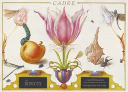 Cadre Stone Blossom Sauvignon Blanc