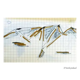 Chanin Los Alamos Vineyard Pinot Noir