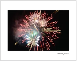 Sanford and Benedict Vineyard Pinot Noir