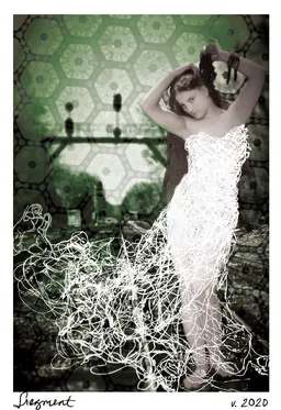 Fragment Sauvignon Blanc