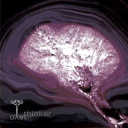 Overthinker Red Blend