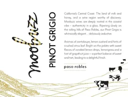 Pinot Grigio