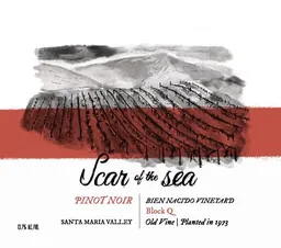 Bien Nacido Vineyard Block Q Pinot Noir