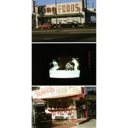 And An Eight Track Rose