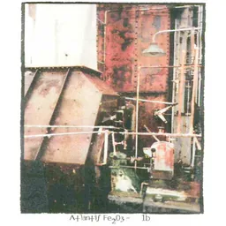 Atlantis Fe 203-1a Syrah