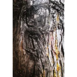 Patine Grenache Eleven Confessions Vineyard