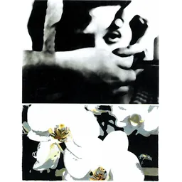 Stockholm Syndrome Eleven Confession Vineyard