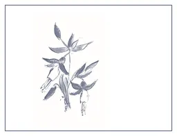 Arnot-Roberts Fellom Ranch Cabernet Sauvignon