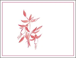 Arnot-Roberts Legan Vineyard Pinot Noir