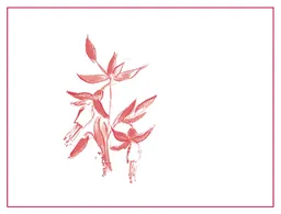 Arnot-Roberts Peter Martin Ray Vineyard Pinot Noir