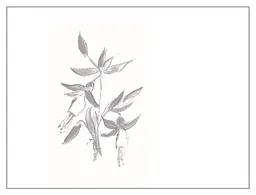 Arnot-Roberts Kirschenmann Vineyard Zinfandel