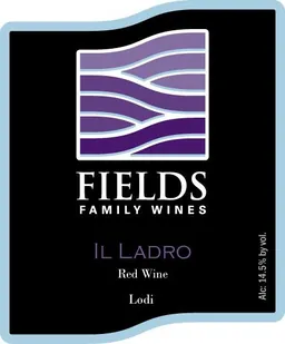 Il Ladro