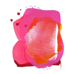 Jolie-Laide Barsotti Vineyard Gamay Noir