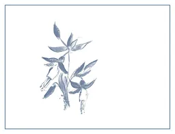 Arnot-Roberts Montecillo Vineyard Cabernet Sauvignon