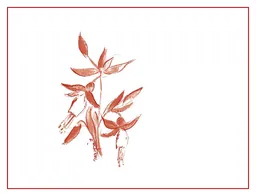 Arnot-Roberts Que Vineyard Syrah