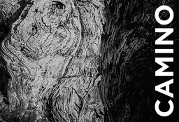 Camino Cellars Montecillo Vineyard Cabernet Sauvignon