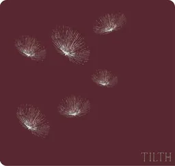 Tilth Pinot Noir