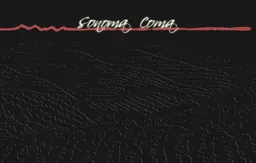 George Wine Company Coma Pinot Noir