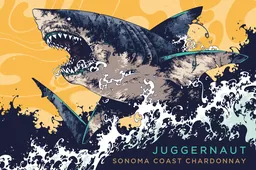 Sonoma Coast Chardonnay