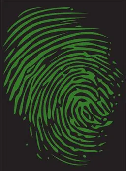 Ramazzotti Vineyard Cabernet Franc