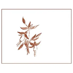 Arnot-Roberts Alder Springs Syrah