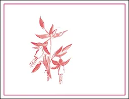 Arnot-Roberts Manchester Ridge Pinot Noir