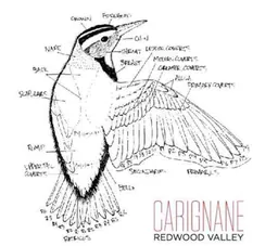 Folk Machine Carignane