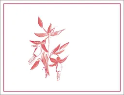 Clary Ranch Pinot Noir