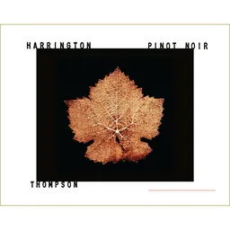 Thompson Vineyard Pinot Noir