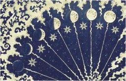 Quail Run Vineyard Valdiguie