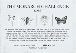 The Monarch Challenge Rose
