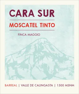 Cara Sur Moscatel Tinto