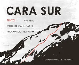 Cara Sur Tinto