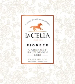 Pioneer Cabernet Sauvignon