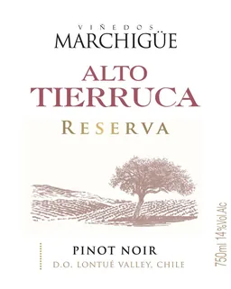 Alto Tierruca Reserva Pinot Noir