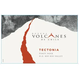 Bodega Volcanes de Chile Tectonia Pinot Noir