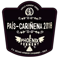 Garage Wine Co. Pais-Carinena Phoenix Ferment