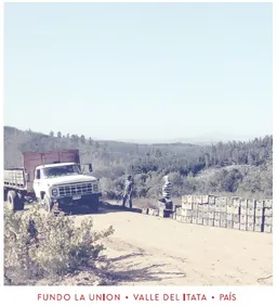 Roberto Henriquez Fundo La Union Pais