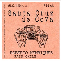 Roberto Henriquez Santa Cruz de Coya