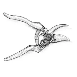 Pelos Sandberg Vineyard Pinot Noir