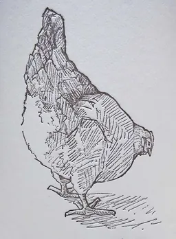 Sunnyside Vineyard Pinot Noir