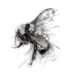 The Wild Bee Chardonnay