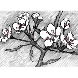 Wirtz Garden Edelzwicker