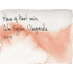Rose of Pinot Noir