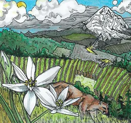 Kelley Fox Mirabai Pinot Noir