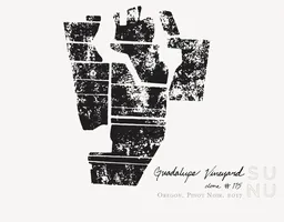 Guadalupe Vineyard Pinot Noir