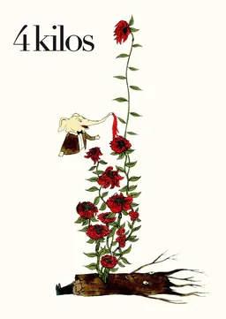 4 Kilos Vino de la Tierra Mallorca